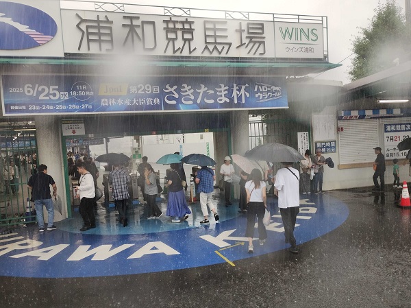 滝雨