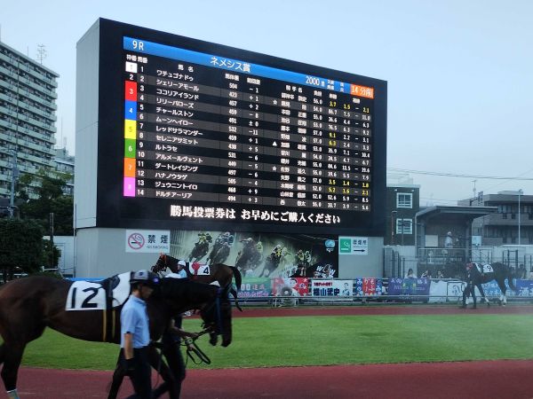 第9レースで勝負