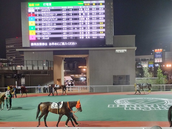 第10レースは見るだけ