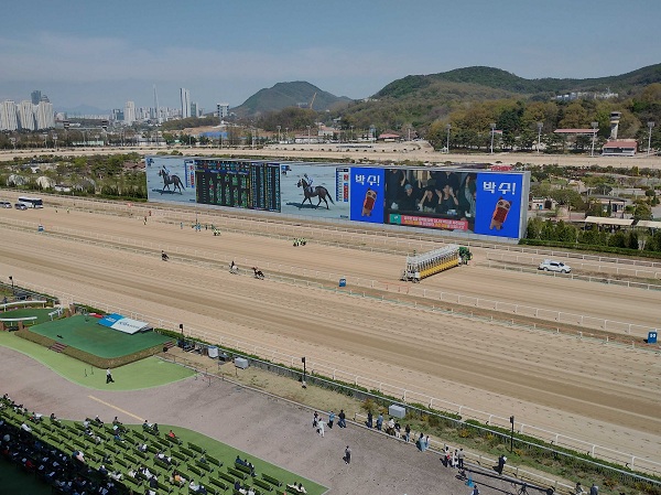 ソウル競馬場の1,800m戦