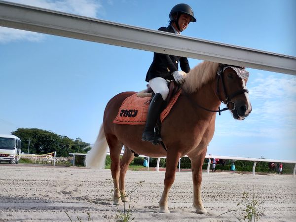 笠松の誘導馬はポニーです