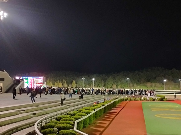 南部杯の発走直前