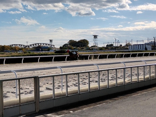 3コーナーの奥に厩舎が新設されます