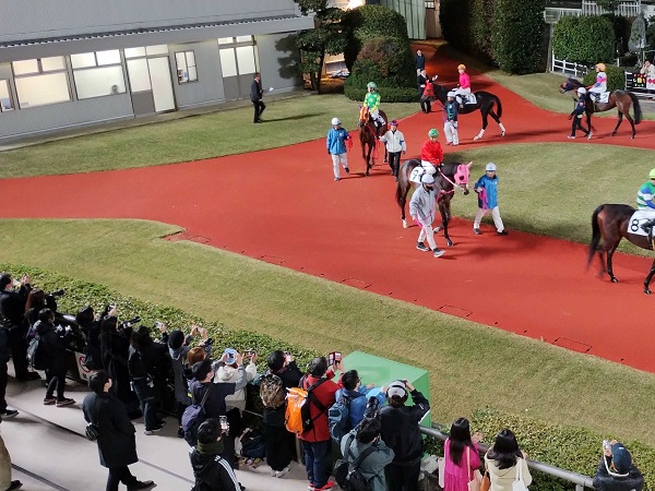 写真を撮る人が多数