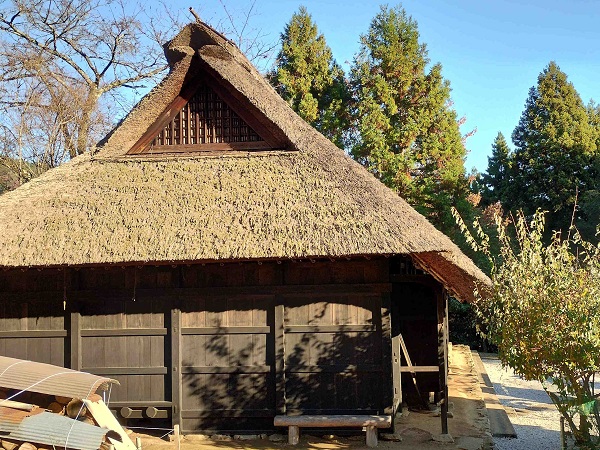 コラム｜SPAT4プレミアムポイント