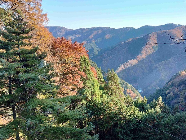 東京都の西の端です