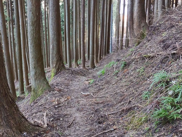 この先に家がもう1軒あるらしい