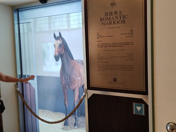 ロマンチックウォリアーと写真を撮れます