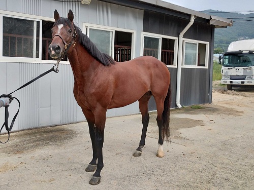 クリソライト号