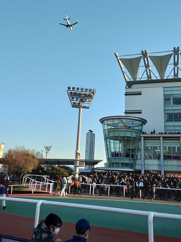 帰る人を見ながらパドック診断