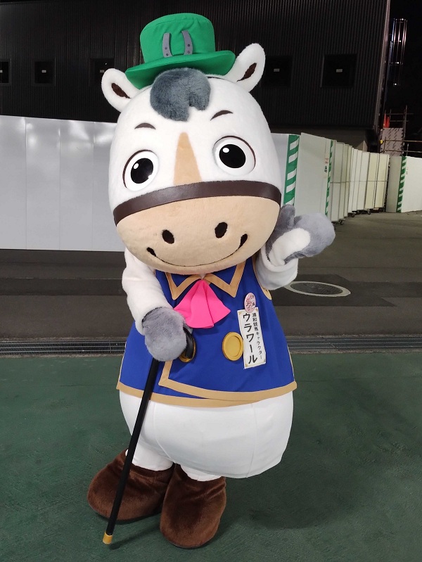 ウラワールは暖かそう