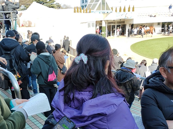 はじめてのパドック