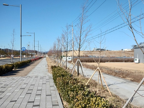 けっこうできている感じ