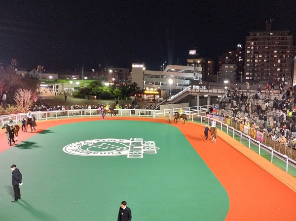 クイーン賞のパドック