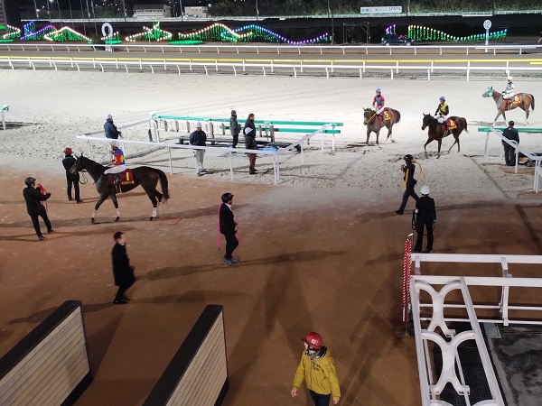 テラスからの景色