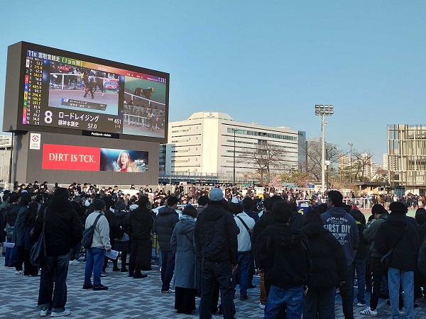 雲取賞のパドック