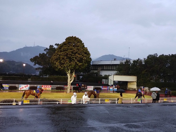 ネクストスターのパドック