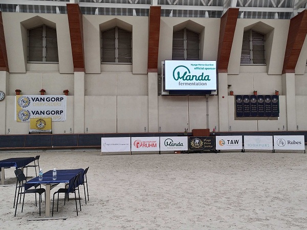 乗馬ウマのセリ市場