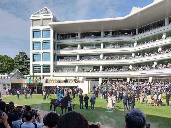 今年2回目の中山競馬場