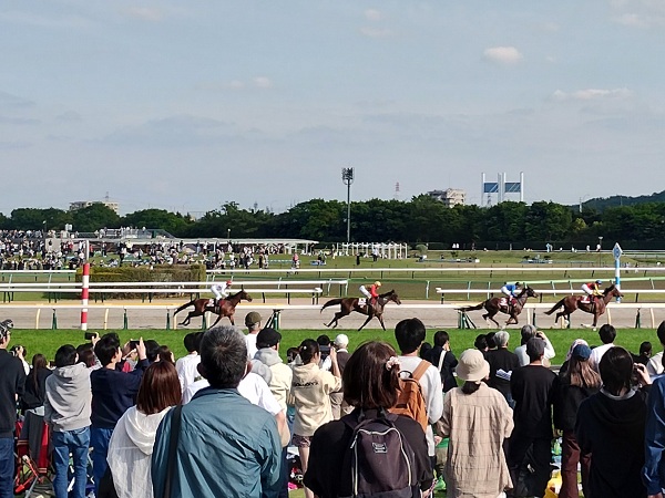 今回は残念
