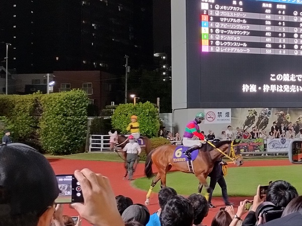 エンプレス杯は間近で