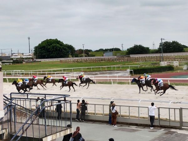 大外の馬が勝利。ぜひ映像を見てください