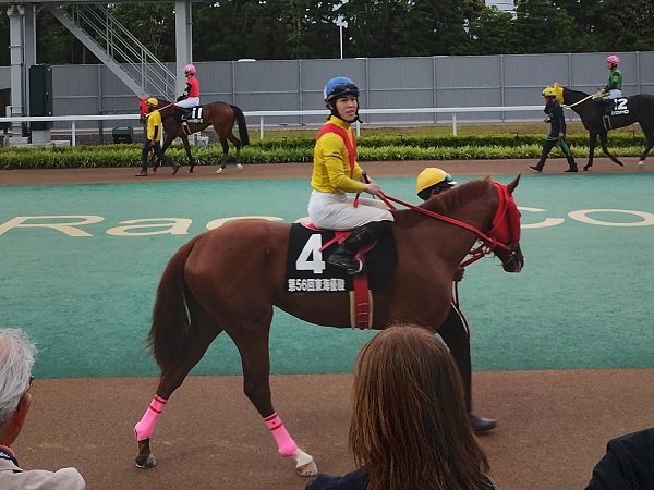 2番人気のアルティメイタム