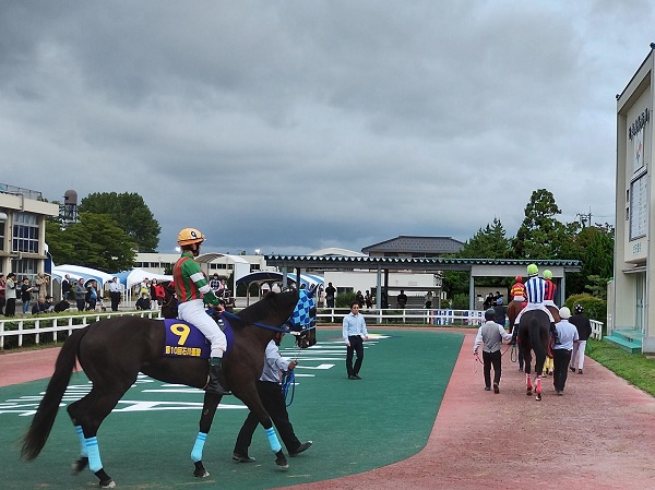 石川優駿のパドック