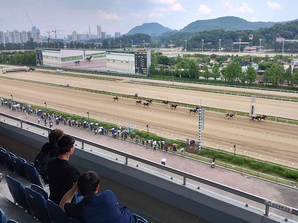 ソウル競馬場