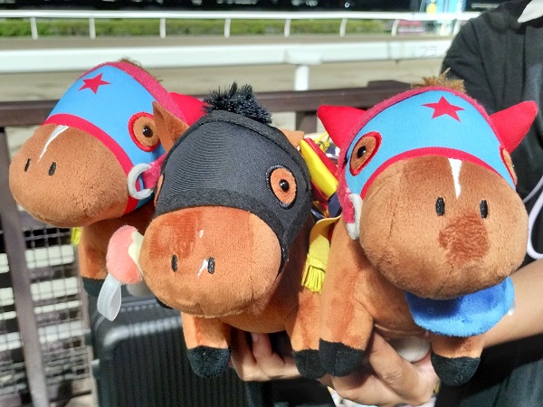 次は最終レース