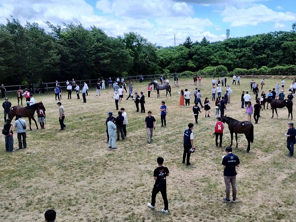 ご来場ありがとうございます