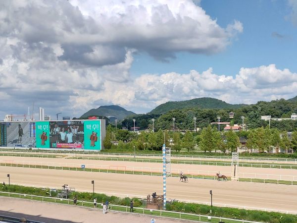 ソウル競馬場に突撃