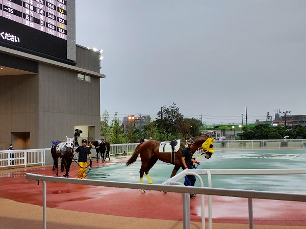 空港に行く前に船橋競馬場を経由