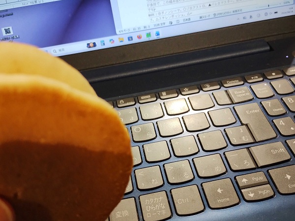 羽田空港で非常食を買っておいてよかった