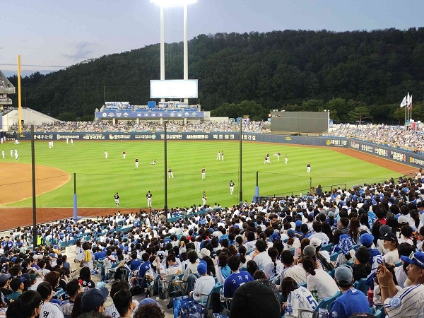きれいな野球場