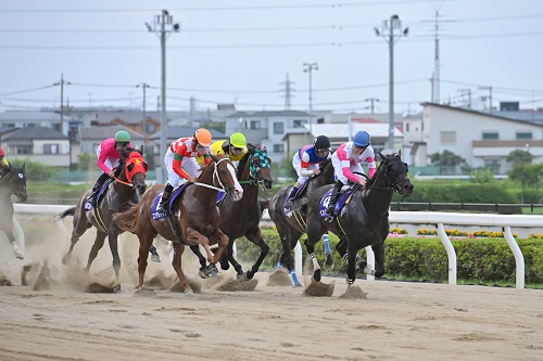 先行争い:青帽ベストマッチョ 橙帽エンテレケイア