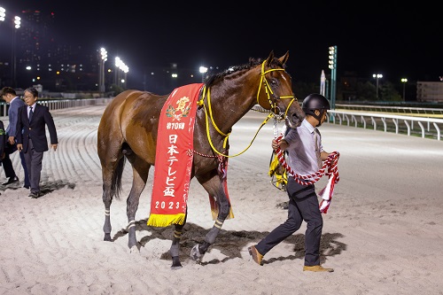 ウシュバテソーロ