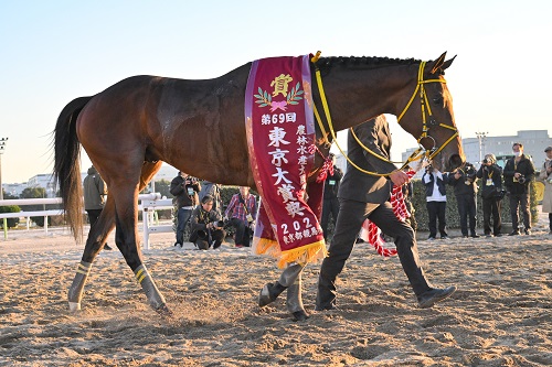 ウシュバテソーロ