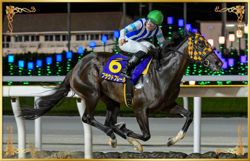 2025年優勝馬 プラウドフレール号