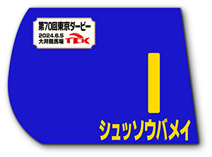 東京ダービーミニゼッケンセット